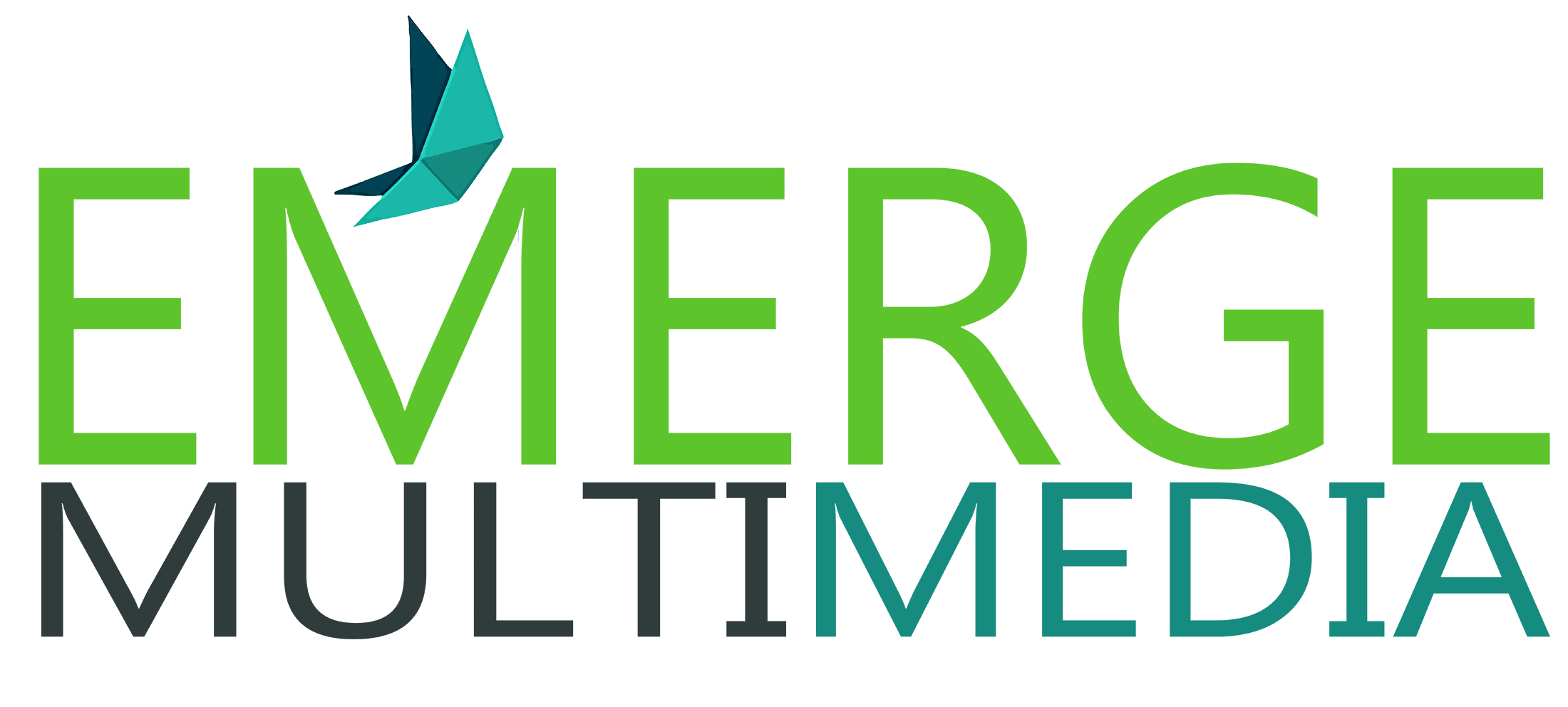 Emerge Multimedia Full logo Feature Image